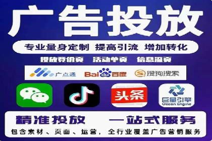 XX领域竞价广告的投放策略及效果展示